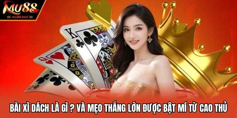 Bài Xì Dách Là Gì ? Và Mẹo Thắng Lớn Được Bật Mí Từ Cao Thủ