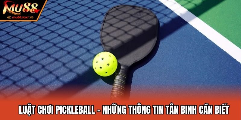 Luật Chơi Pickleball - Những Thông Tin Tân Binh Cần Biết